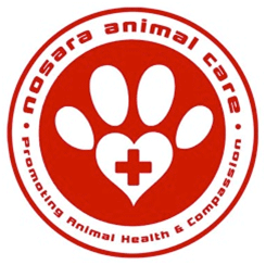 support Nosara Animal Care